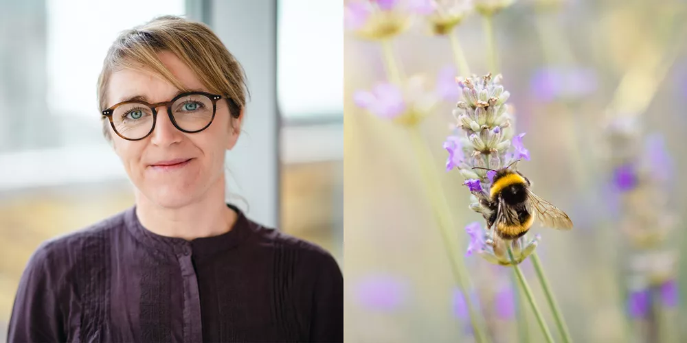 Helena Allard, hållbarhetsinnovatör på Axfood.