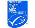MSC logotyp