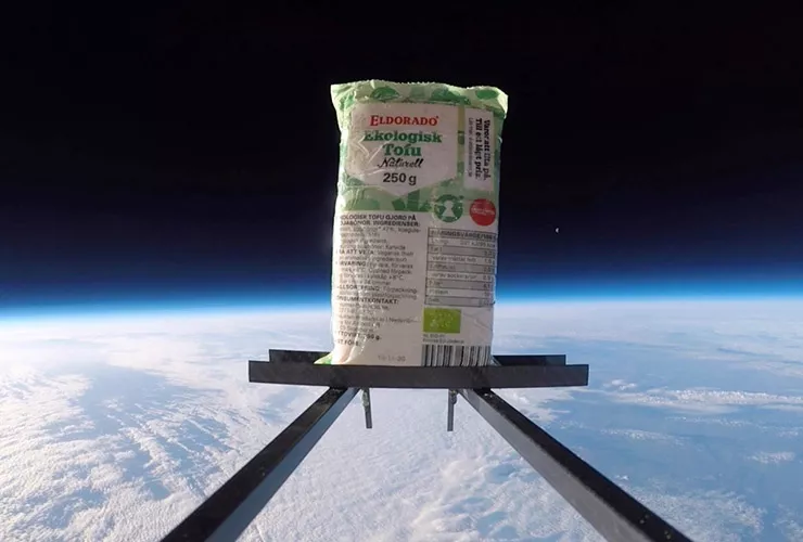 Eldorado ekologisk tofu i rymden