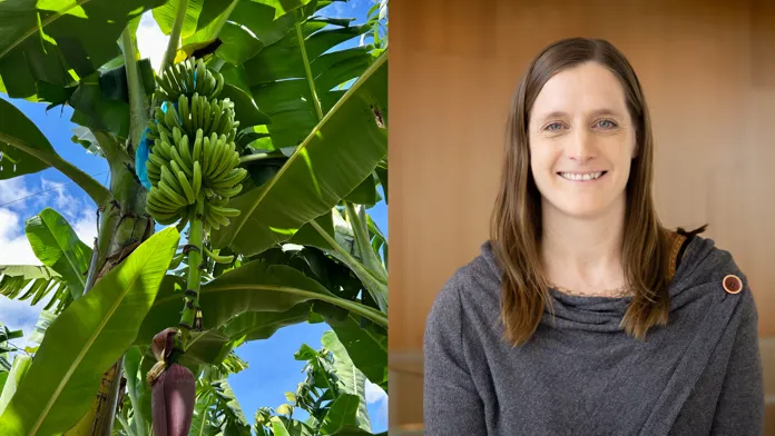Bananklase och Karin Wimmer