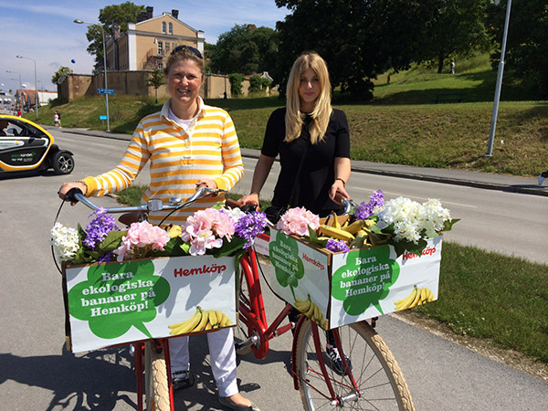 Almedalen åsa